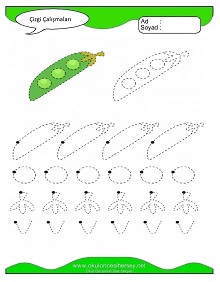 Çizgi Çalışma Sayfaları